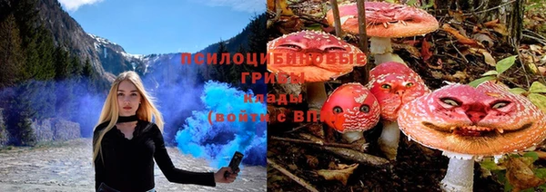 МДПВ Богданович